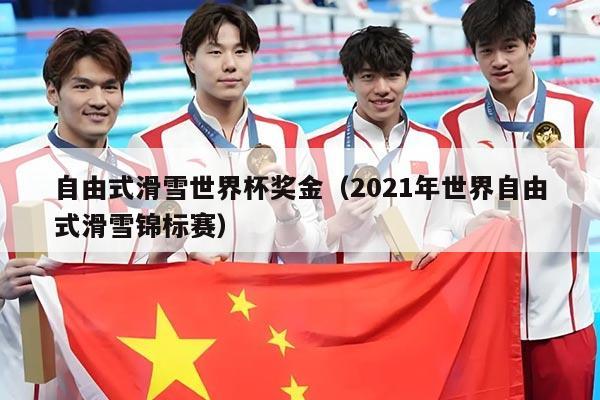 自由式滑雪世界杯奖金(2021年世界自由式滑雪锦标赛)