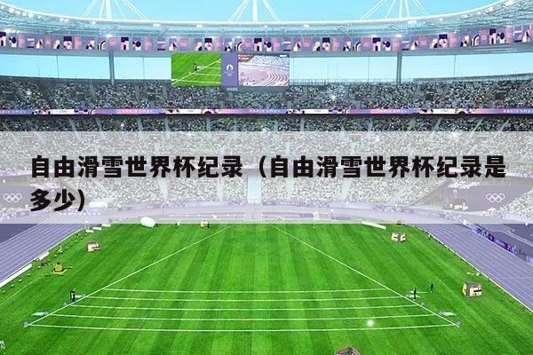 自由滑雪世界杯纪录(自由滑雪世界杯纪录是多少)