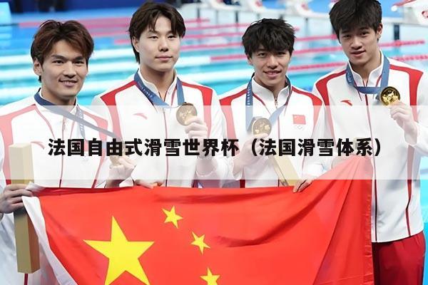 法国自由式滑雪世界杯(法国滑雪体系)