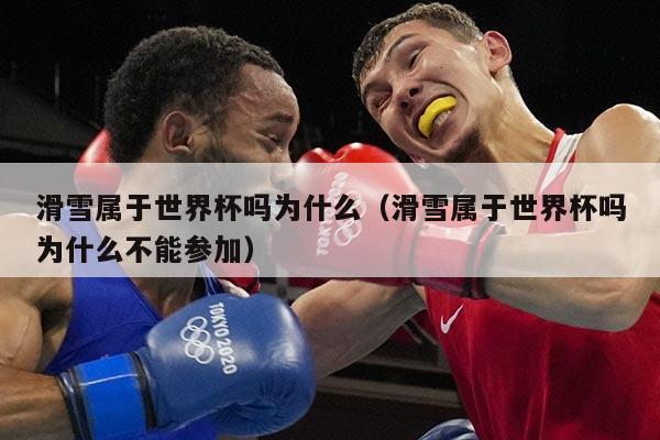 滑雪属于世界杯吗为什么(滑雪属于世界杯吗为什么不能参加)
