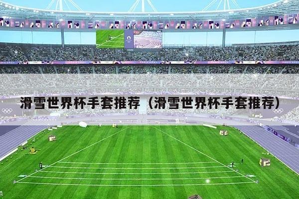 滑雪世界杯手套推荐(滑雪世界杯手套推荐)