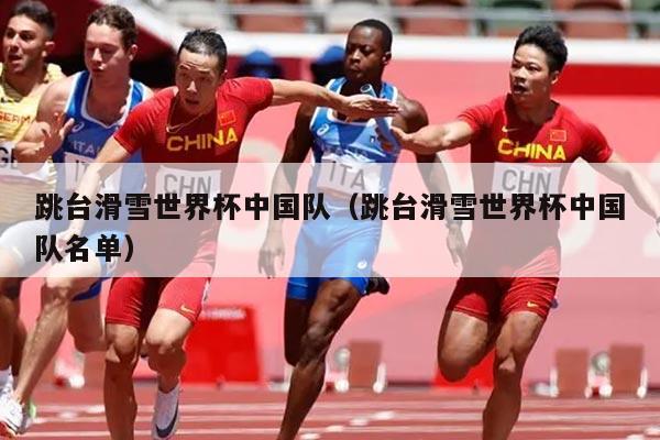 跳台滑雪世界杯中国队(跳台滑雪世界杯中国队名单)
