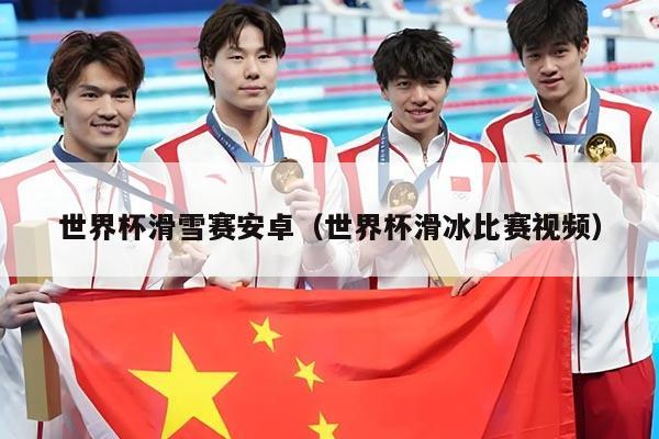 世界杯滑雪赛安卓(世界杯滑冰比赛视频)