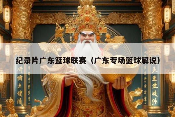 纪录片广东篮球联赛(广东专场篮球解说)