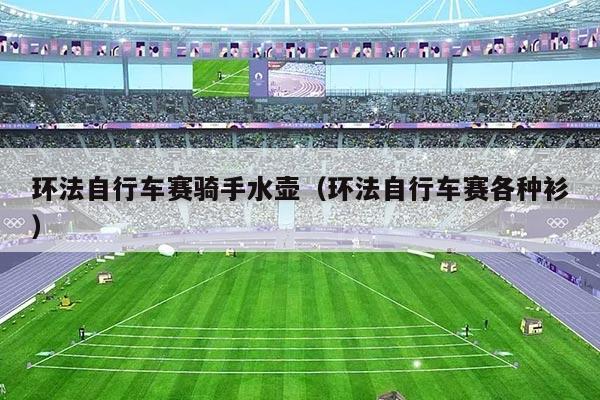 环法自行车赛骑手水壶（环法自行车赛各种衫）