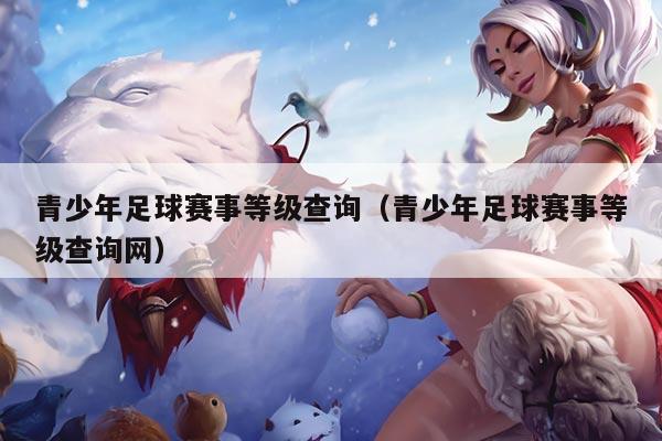 青少年足球赛事等级查询（青少年足球赛事等级查询网）