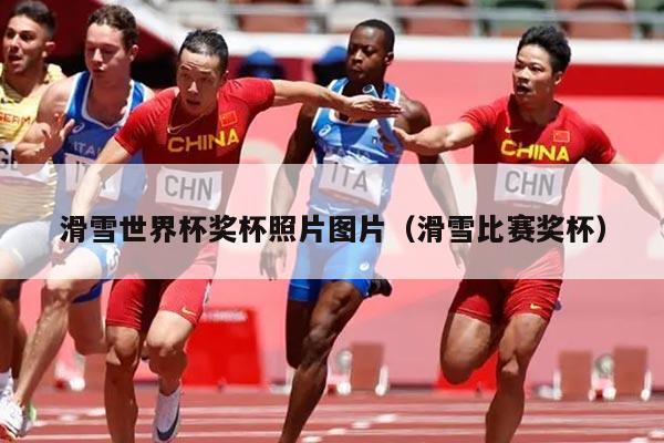 滑雪世界杯奖杯照片图片（滑雪比赛奖杯）