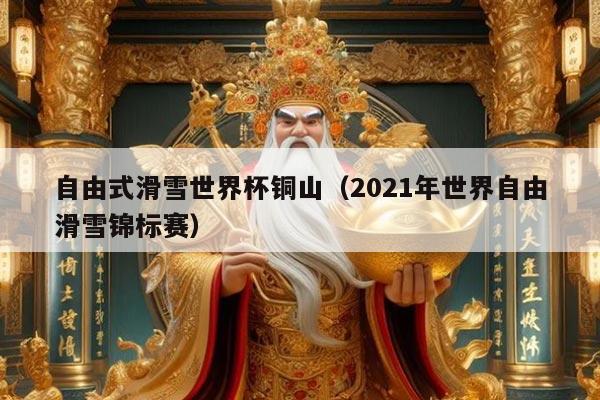 自由式滑雪世界杯铜山(2021年世界自由滑雪锦标赛)