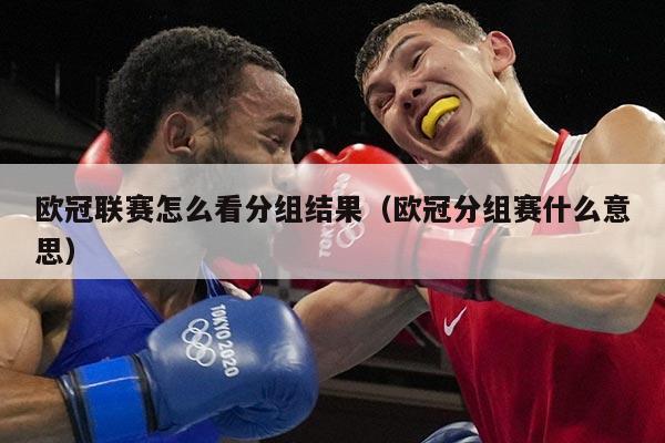 欧冠联赛怎么看分组结果（欧冠分组赛什么意思）