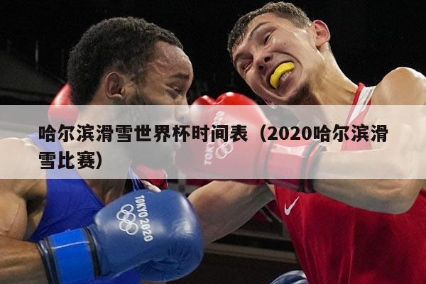哈尔滨滑雪世界杯时间表(2020哈尔滨滑雪比赛)