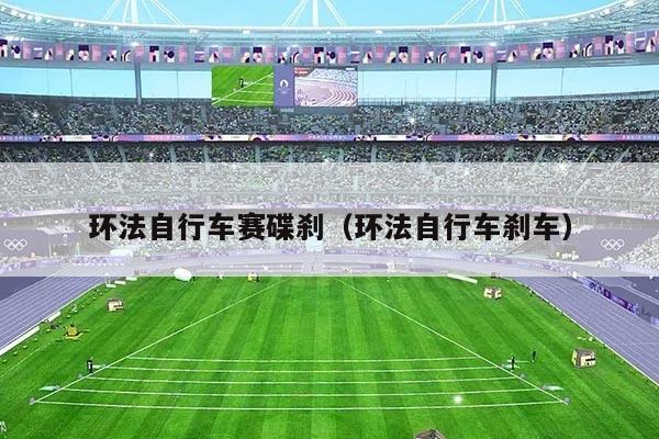 环法自行车赛碟刹（环法自行车刹车）