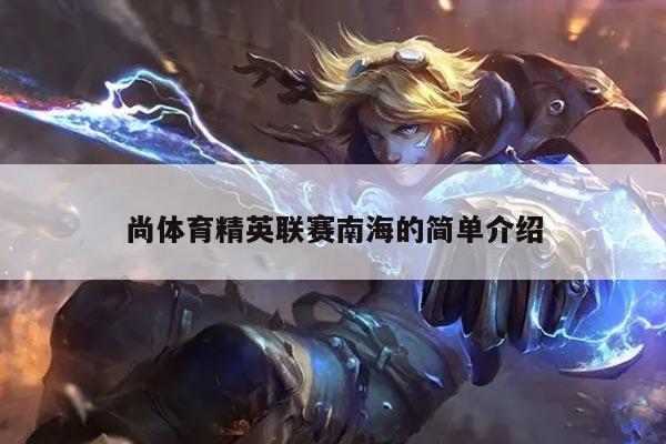 尚体育精英联赛南海的简单介绍