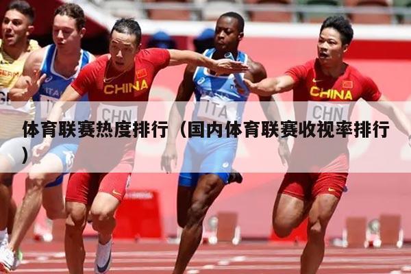 体育联赛热度排行(国内体育联赛收视率排行)