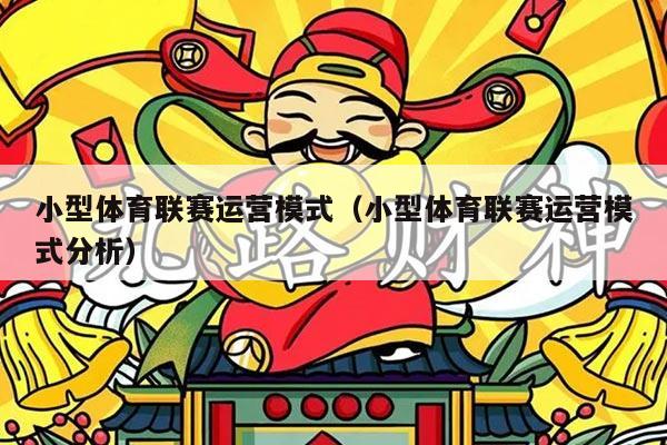 小型体育联赛运营模式（小型体育联赛运营模式分析）