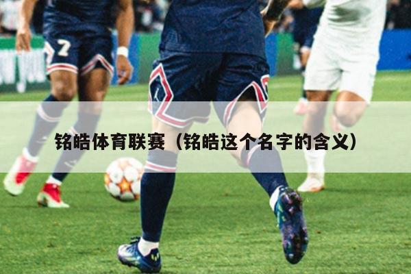 铭皓体育联赛（铭皓这个名字的含义）