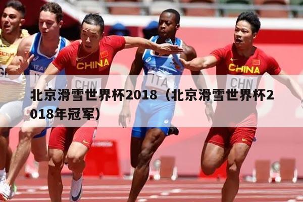 北京滑雪世界杯2018(北京滑雪世界杯2018年冠军)