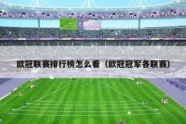 欧冠联赛排行榜怎么看（欧冠冠军各联赛）