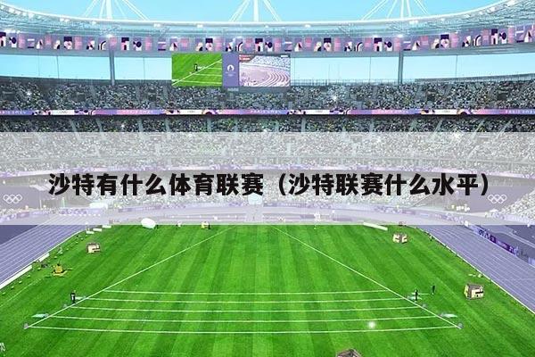 沙特有什么体育联赛（沙特联赛什么水平）