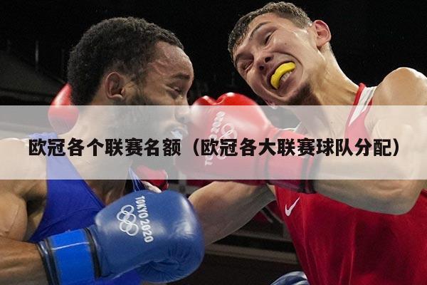 欧冠各个联赛名额（欧冠各大联赛球队分配）