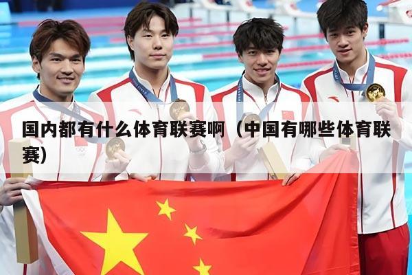 国内都有什么体育联赛啊（中国有哪些体育联赛）