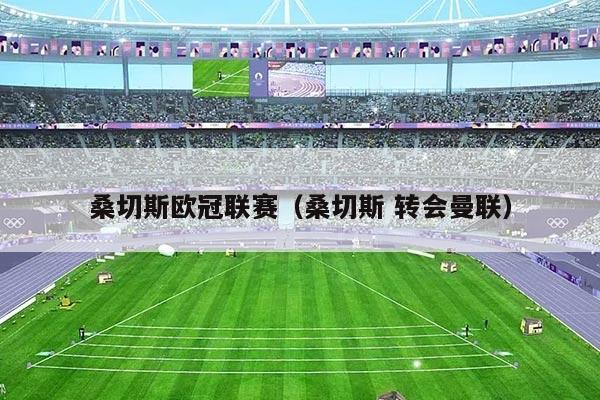 桑切斯欧冠联赛（桑切斯 转会曼联）