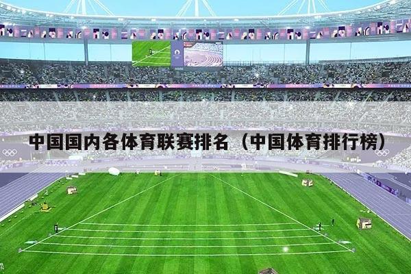 中国国内各体育联赛排名（中国体育排行榜）